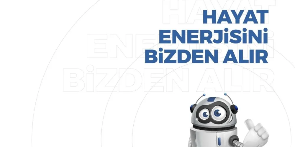 SAYRON ELEKTRONİK ENERJİ SAVUNMA SANAYİ A.Ş