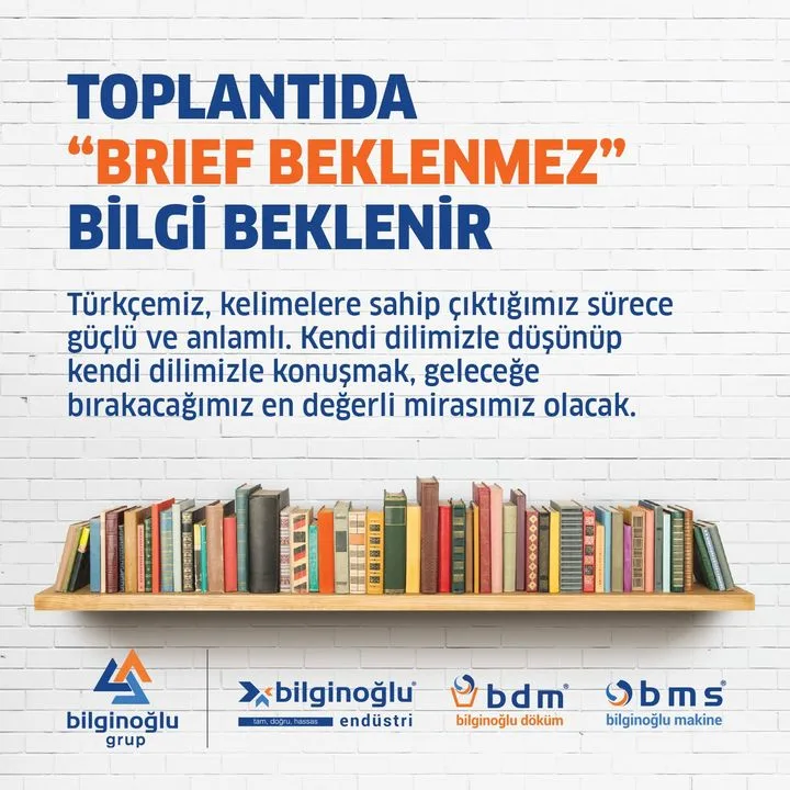 Bilginoğlu Endüstri Malz. San Tic. A.Ş.