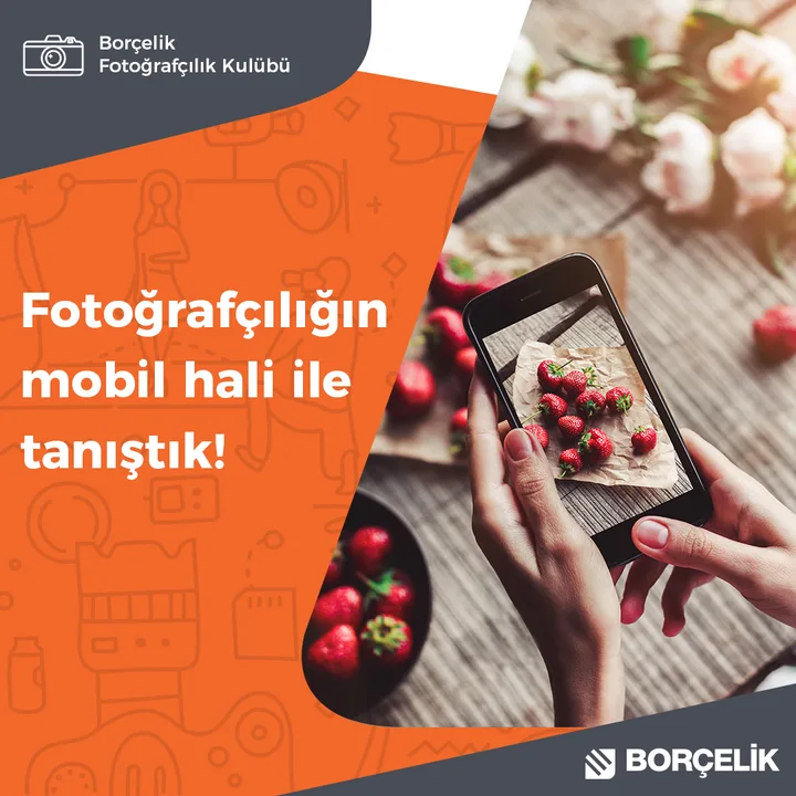 Borçelik Çelik San. Tic. A.Ş.