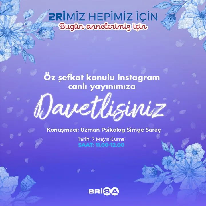 Brisa Bridgestone Sabancı Lastik A.Ş.