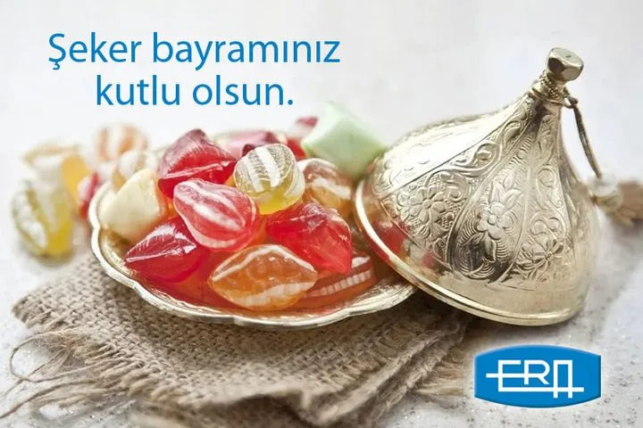 Era Elektronik San. Tic. A.Ş.