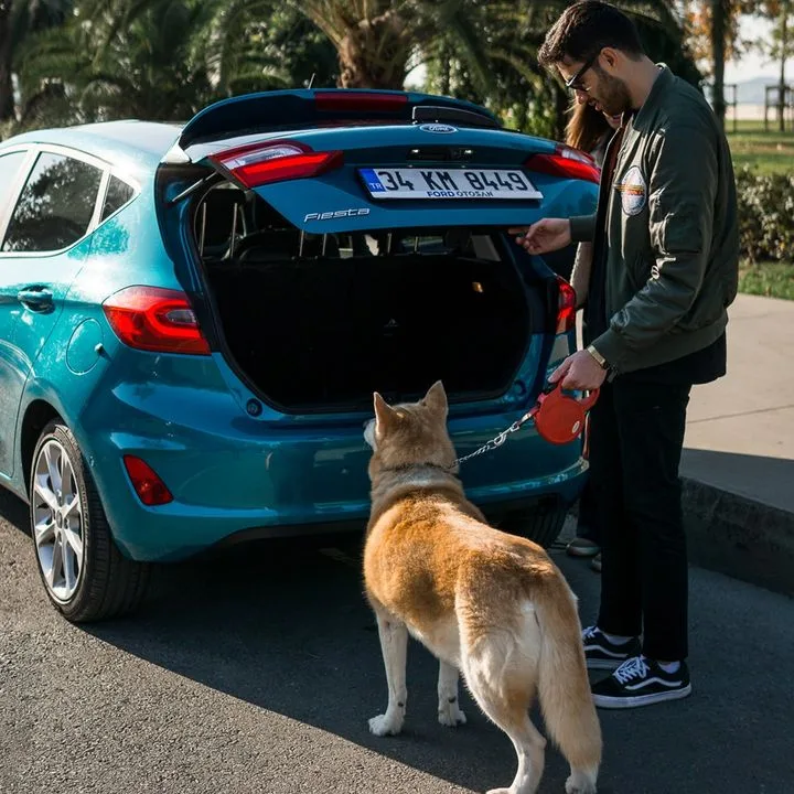 Ford Otomotiv San. A.Ş.
