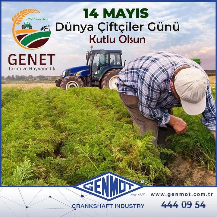 Genmot Genel Motor Stan. Krank Şaft Endüstri