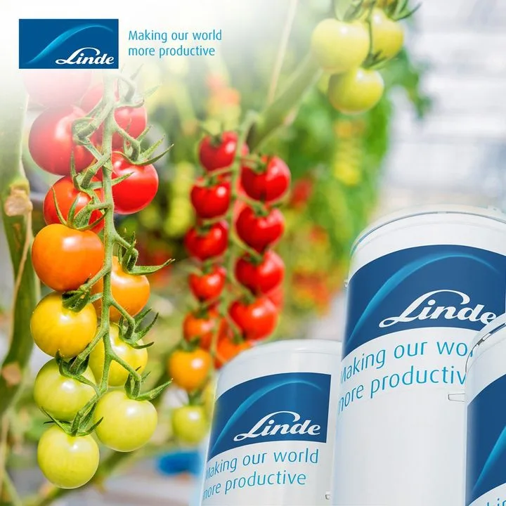 Linde Gaz