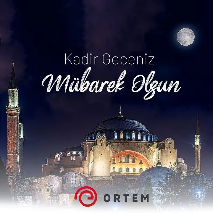 Ortem Elektronik Anonim Şirketi