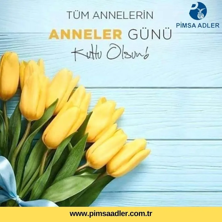 Pimsa Adler Otomotiv A.Ş.