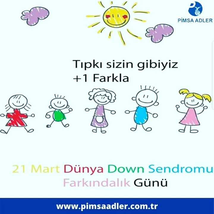 Pimsa Adler Otomotiv A.Ş.