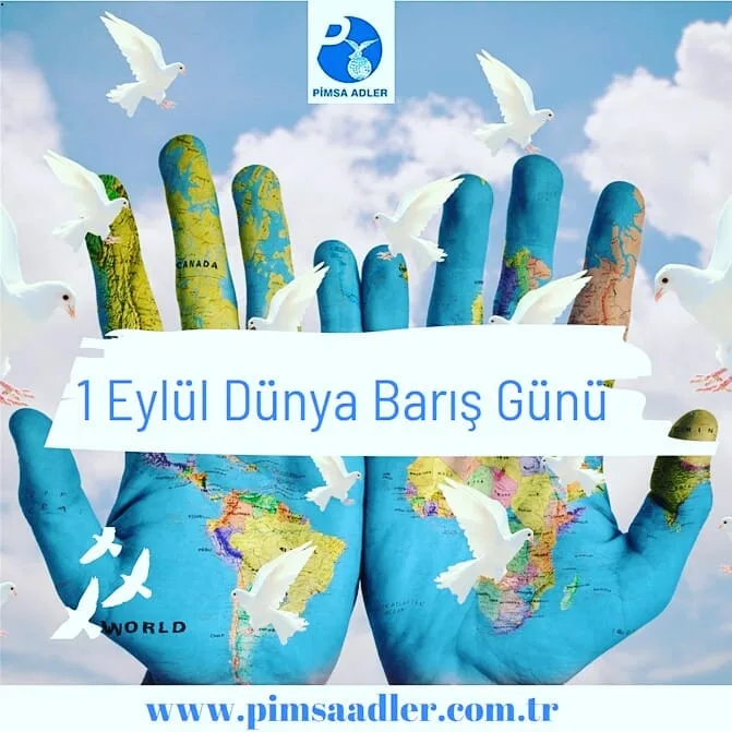 Pimsa Adler Otomotiv A.Ş.