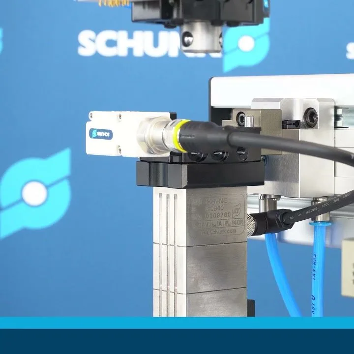 Schunk