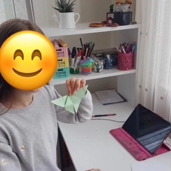 Seger Ses Elektrik Gereçleri San. A.Ş.