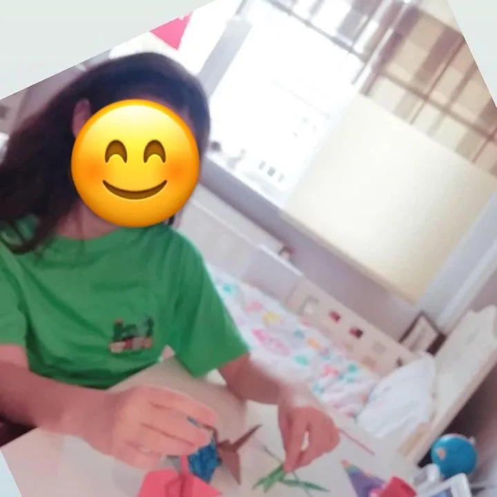 Seger Ses Elektrik Gereçleri San. A.Ş.