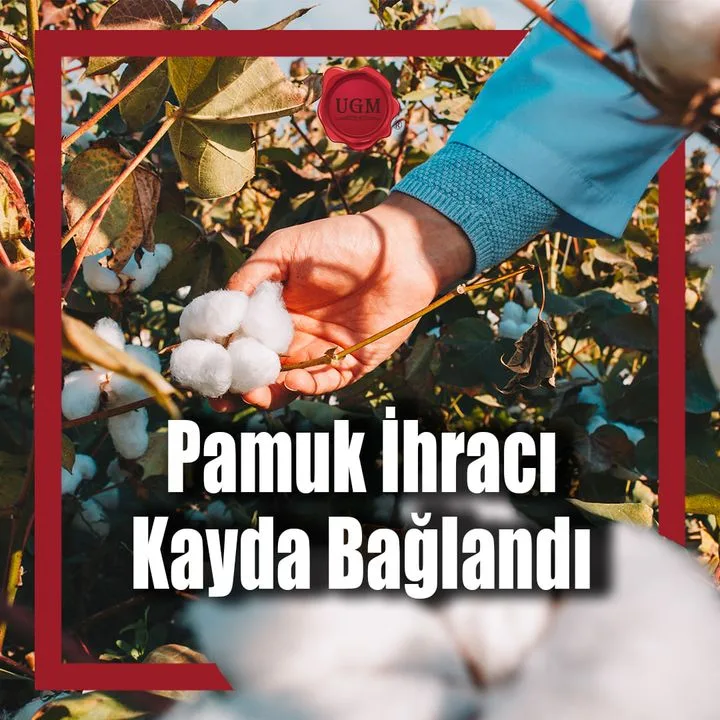 Ünsped Gümrük Müşavirliği