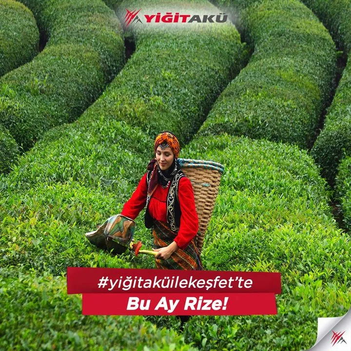 Yiğit Akü Malzemeleri Nakliyat San. ve Tic. A.Ş.