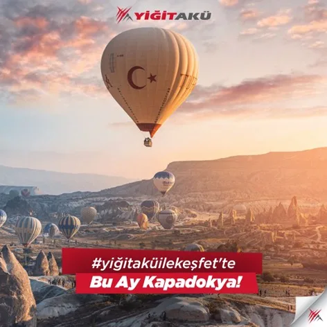 Yiğit Akü Malzemeleri Nakliyat San. ve Tic. A.Ş.