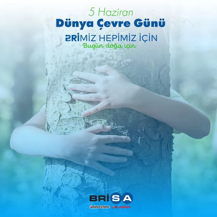 Brisa Bridgestone Sabancı Lastik A.Ş.