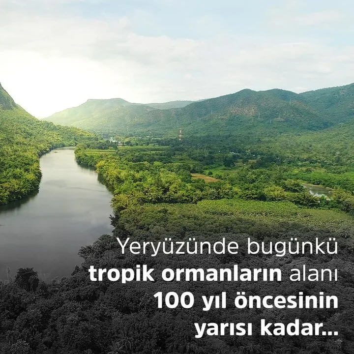 Koç Sistem Bilgi ve İletişim Hizmetleri A.Ş.