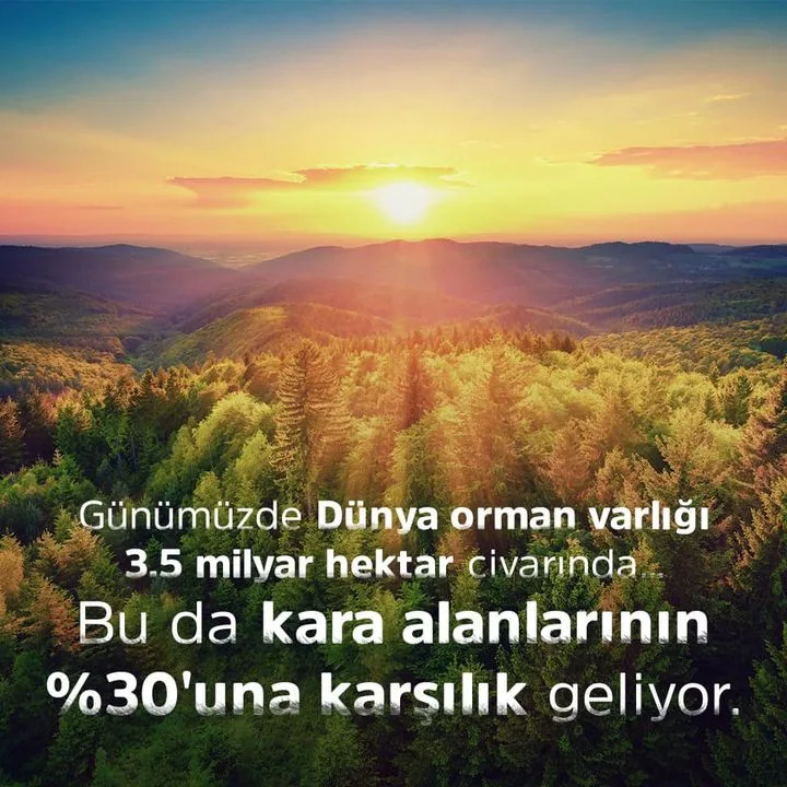 Koç Sistem Bilgi ve İletişim Hizmetleri A.Ş.