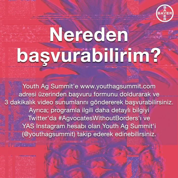 Bayer