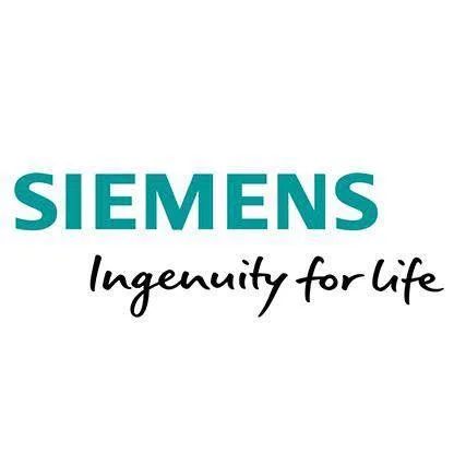 Doğuş Elektrik Sistemleri Sanayi Tic. A.Ş.