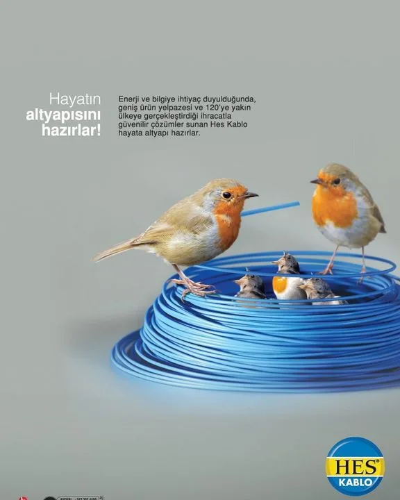 Doğuş Elektrik Sistemleri Sanayi Tic. A.Ş.