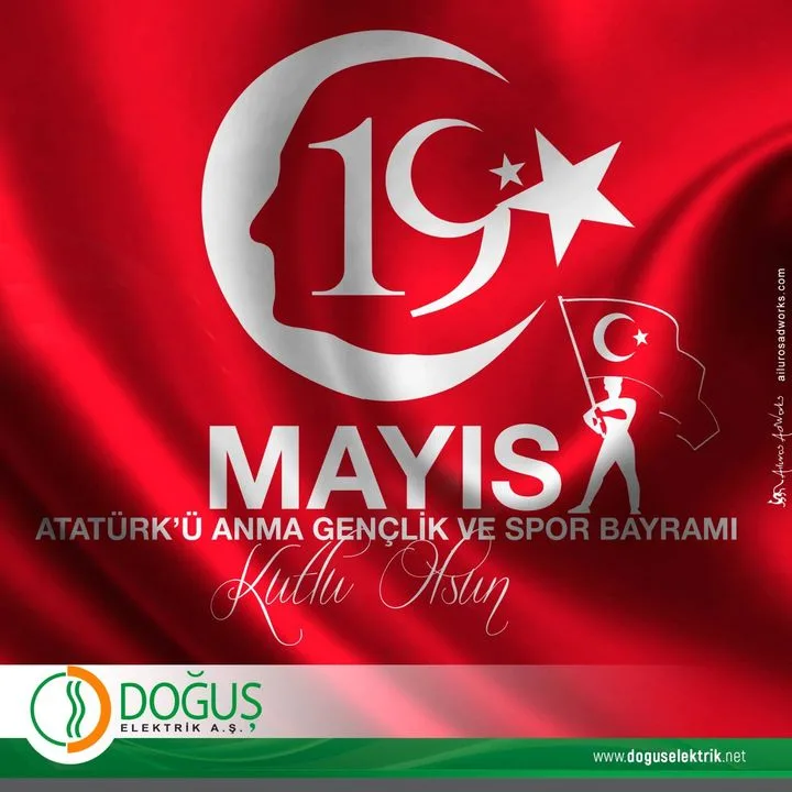 Doğuş Elektrik Sistemleri Sanayi Tic. A.Ş.