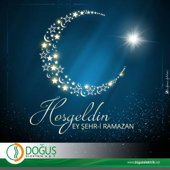 Doğuş Elektrik Sistemleri Sanayi Tic. A.Ş.