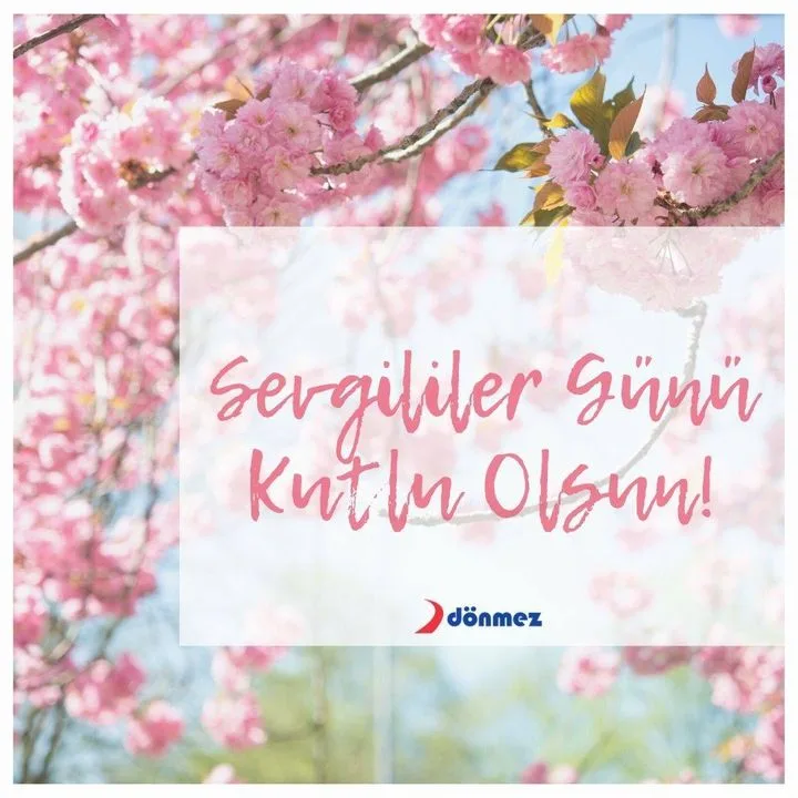 Dönmez Debriyaj San. ve Tic. AŞ