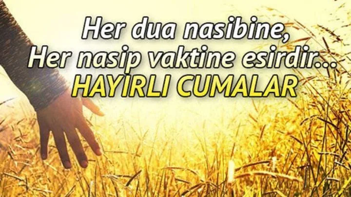 Gaysan Subap Gaydları Mak. Tak.San. Ltd. Şti.