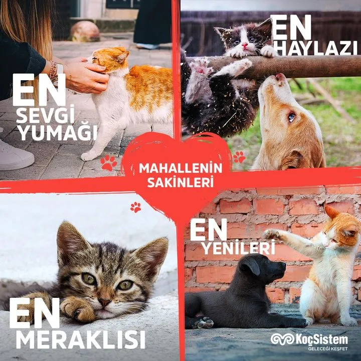 Koç Sistem Bilgi ve İletişim Hizmetleri A.Ş.