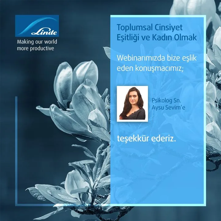 Linde Gaz