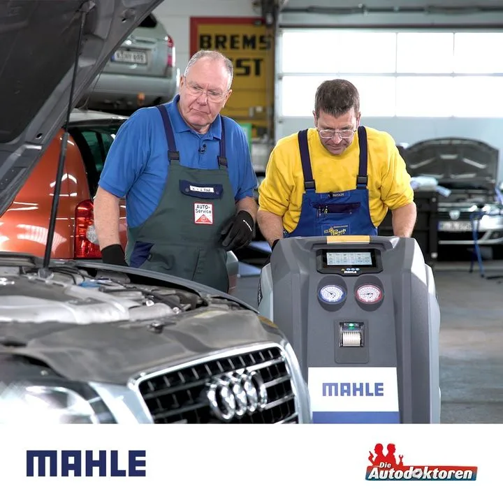 Mahle Motor Parçaları Sanayi ve Ticaret A.Ş.