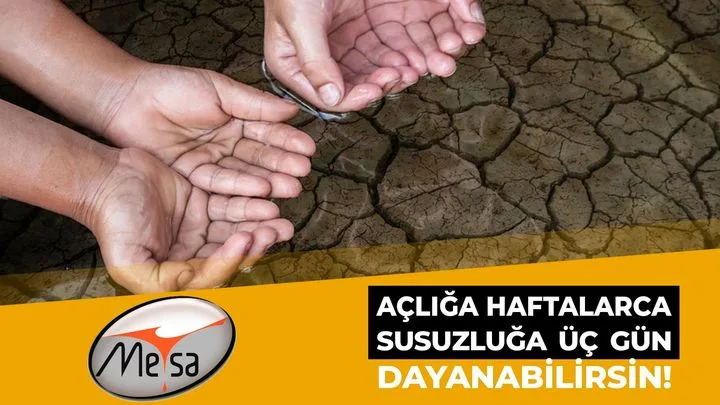 Mesa Makina Döküm Gıda San. Tic. A.Ş.