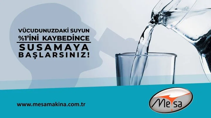 Mesa Makina Döküm Gıda San. Tic. A.Ş.