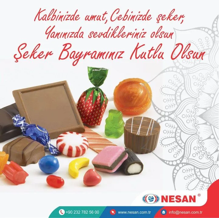 Nesan Otomotiv A.Ş.
