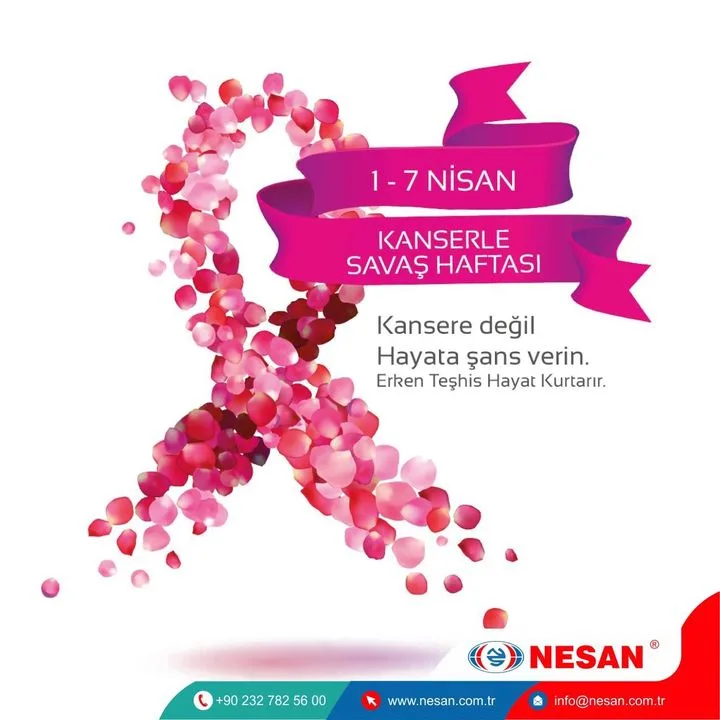 Nesan Otomotiv A.Ş.