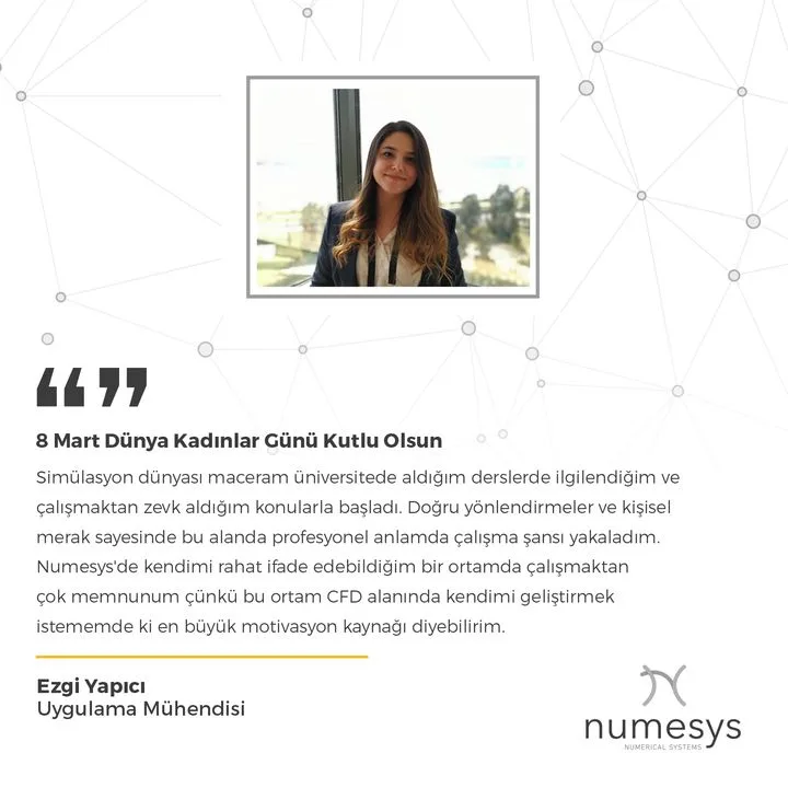 Numesys İleri Mühendislik A.ş