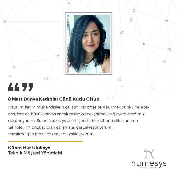 Numesys İleri Mühendislik A.ş