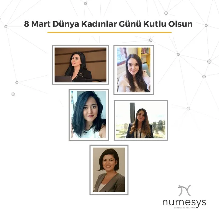 Numesys İleri Mühendislik A.ş