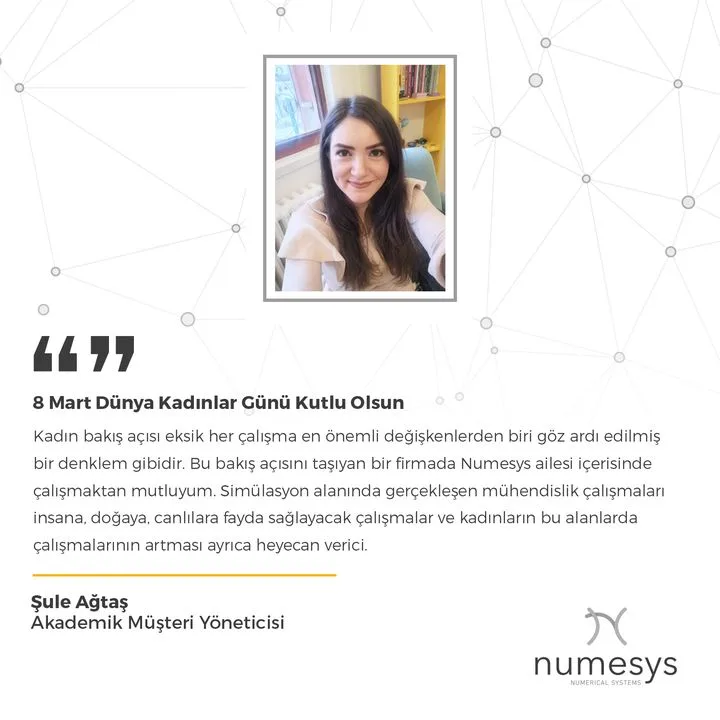 Numesys İleri Mühendislik A.ş