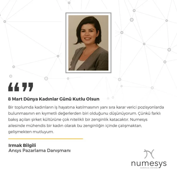Numesys İleri Mühendislik A.ş