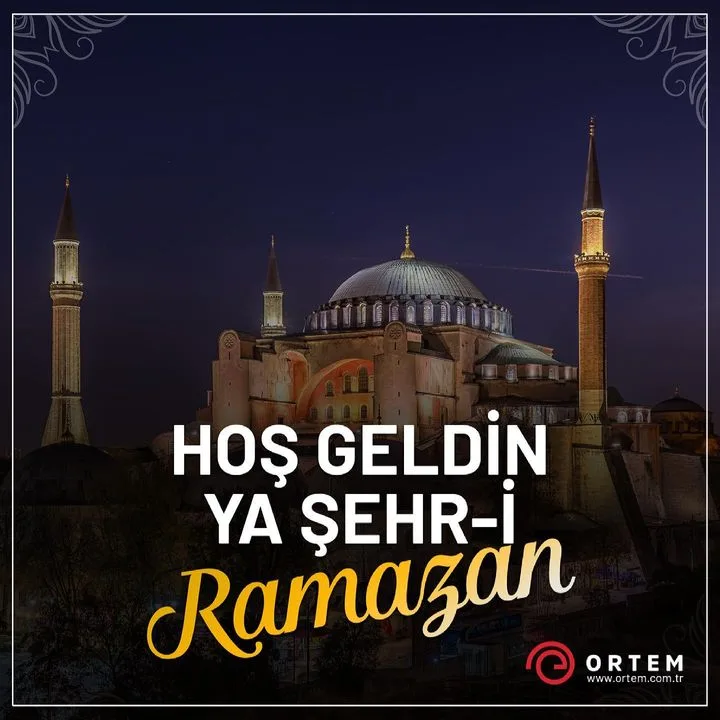 Ortem Elektronik Anonim Şirketi