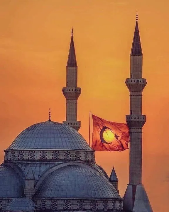Özgayd Otom. San.Tic. Ltd. Şti.