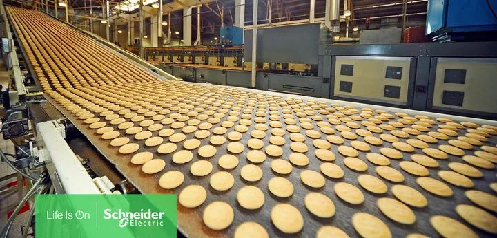 Schneider Enerji Endüstrisi San. ve Tic. A.Ş.