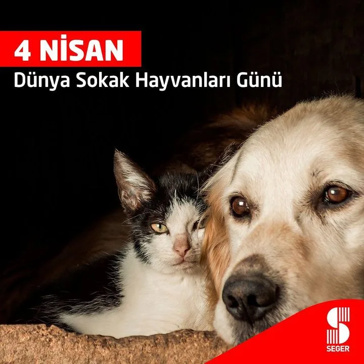 Seger Ses Elektrik Gereçleri San. A.Ş.