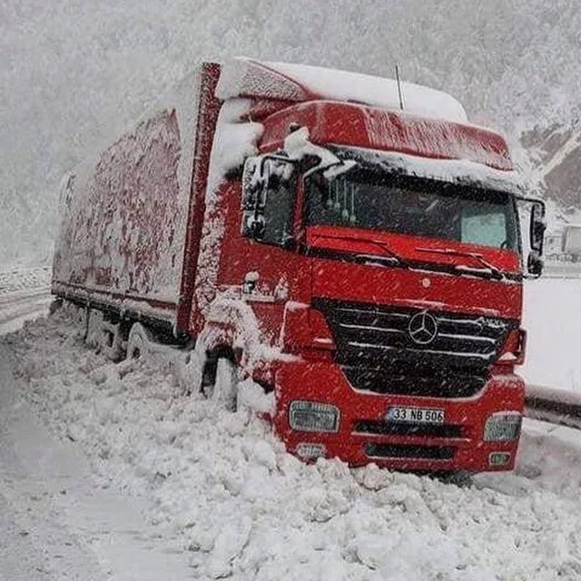 Tırsan Treyler San. ve Tic. A.Ş.
