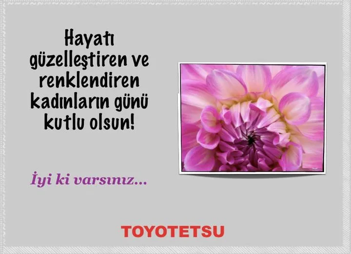 Toyotetsu Otomotiv Parç. Üretim ve Tic. A.Ş.