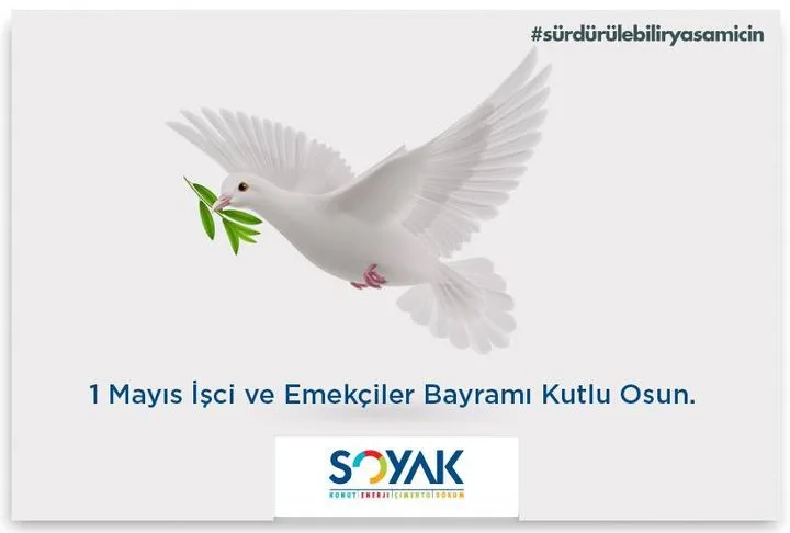 Trakya Döküm San. ve Tic. A.Ş.