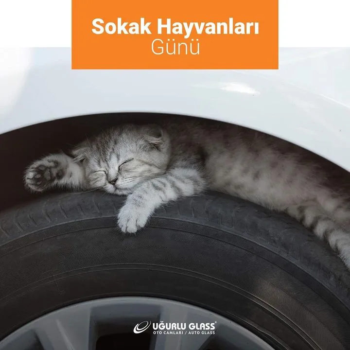 Uğurlu Oto Cam İç Dış Tic. Ltd. Şti.