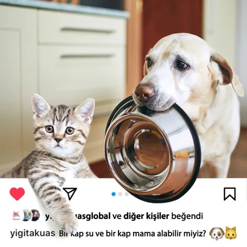 Yiğit Akü Malzemeleri Nakliyat San. ve Tic. A.Ş.