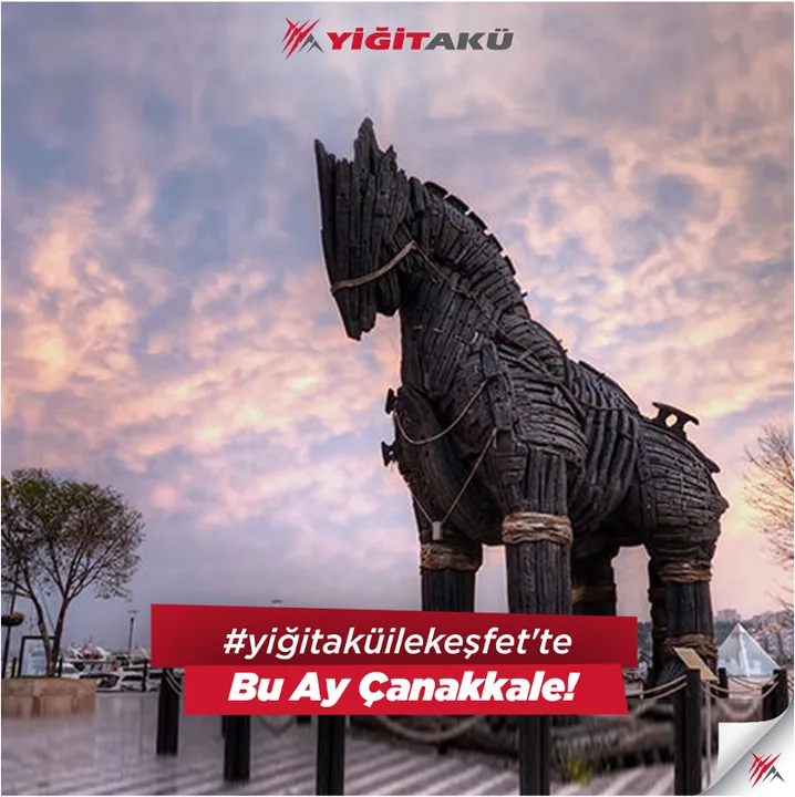 Yiğit Akü Malzemeleri Nakliyat San. ve Tic. A.Ş.